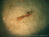 gardasee_feb08_IMG_0281