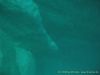 gardasee_feb08_IMG_0353