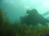 gardasee_februar_09_IMG_3782
