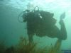 gardasee_februar_09_IMG_3784