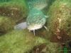 gardasee_maerz09_IMG_4193