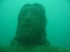 gardasee_1110_020