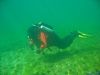 plansee09004
