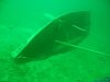 plansee09005