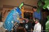 tauchertaufe_stammtisch0908_IMG_1683