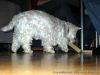 tauchertreff_weihnachtsfeier06_IMG_3939