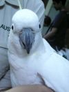 p1020189
