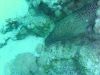 bild0418
