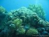 seven7seas08_IMG_2069