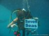 seven7seas08_IMG_2351