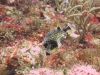 10054-img_1088__2__640x480 10054-img_1088__2__640x480